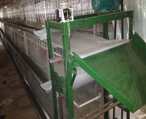 蛋鸡设备传送带式清粪机常见的这些问题你都知路吗？